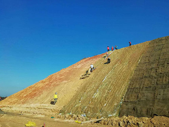 環(huán)保草毯的特點(diǎn)有哪些?